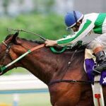 新馬戦ではめっちゃ人気薄だったのに名馬になった馬