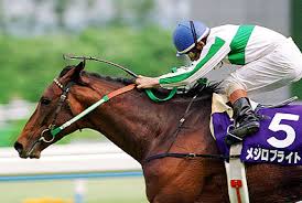 新馬戦ではめっちゃ人気薄だったのに名馬になった馬