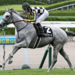 ガイアフォースのような馬、これまでにいたか?