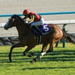 【マイルCS】二冠牝馬チェルヴィニア10番人気