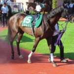 エネルジコが史上最強クラスである可能性