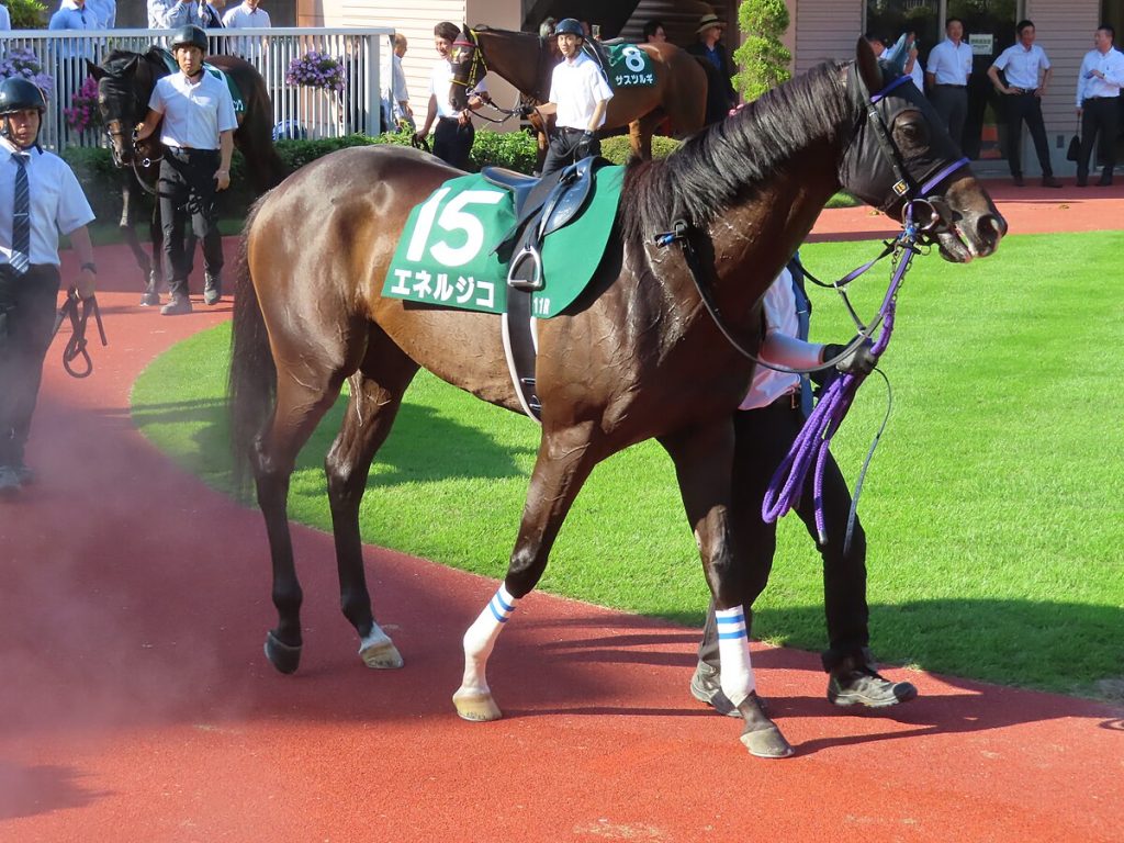 エネルジコが史上最強クラスである可能性