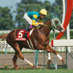 歴代のG2で一番好きなメンツのレース