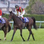 日本歴代最強マイラーがグランアレグリア←これ