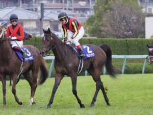 日本歴代最強マイラーがグランアレグリア←これ