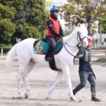 【悲報】白毛馬アオラキ故障を発生で予後不良