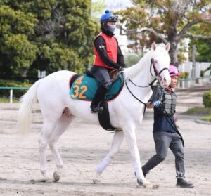 【悲報】白毛馬アオラキ故障を発生で予後不良