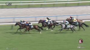 【鳴尾記念2025】出走予定馬・騎手/今年から再び12月開催に