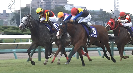 G1牝馬ママコチャ、来年7歳も現役続行