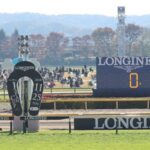 【ジャパンC】カランダガン以外の外国馬3頭出走取り止め