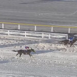 【JBCレディスクラシック】伏兵アンモシエラが連覇達成！オーサムリザルトは3着