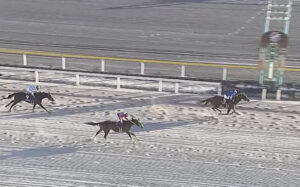 【JBCレディスクラシック】伏兵アンモシエラが連覇達成！オーサムリザルトは3着