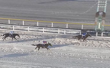 【JBCレディスクラシック】伏兵アンモシエラが連覇達成！オーサムリザルトは3着