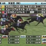 【天皇賞･秋】古豪ジャスティンパレス3着