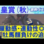 【17週連続調教診断上位馬が激走中!】マスカレードボール、ミュージアムマイル、タスティエーラ・・・競馬エイト・高橋賢司トラックマンの調教解説<天皇賞(秋)GⅠ>