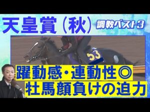 【17週連続調教診断上位馬が激走中!】マスカレードボール、ミュージアムマイル、タスティエーラ・・・競馬エイト・高橋賢司トラックマンの調教解説<天皇賞(秋)GⅠ>