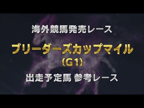 【参考レース】2025ブリーダーズカップマイル|JRA公式