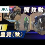 【調教動画】2025年 天皇賞(秋)|JRA公式