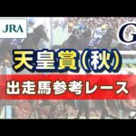 【参考レース】2025年 天皇賞(秋)|JRA公式