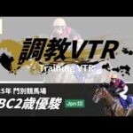 調教VTR|2025年 JBC2歳優駿 JpnIII|NAR公式