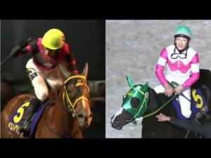 アタック！地方競馬｜第344回｜JBC2歳優駿直前！ホッカイドウ競馬2歳馬情報｜NAR公式