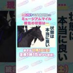 天皇賞(秋)GⅠ トレセン直撃取材! #競馬 #天皇賞 #天皇賞秋  #ミュージアムマイル  #高柳大輔