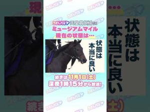 天皇賞(秋)GⅠ トレセン直撃取材! #競馬 #天皇賞 #天皇賞秋  #ミュージアムマイル  #高柳大輔