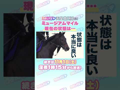 天皇賞(秋)GⅠ　トレセン直撃取材！　#競馬 #天皇賞 #天皇賞秋  #ミュージアムマイル  #高柳大輔