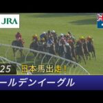 2025年 ゴールデンイーグル |  JRA公式