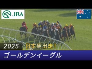 2025年 ゴールデンイーグル |  JRA公式