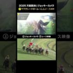 【ジョッキーカメラ×レース映像】2025年天皇賞（秋） マスカレードボール C.ルメール騎手 #shorts ｜JRA公式