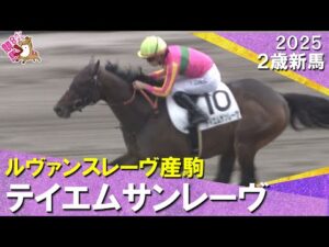 砂の良血テイエムサンレーヴが完勝！団野騎手「まだ覚えることはたくさんあるけど、いい勝ち方」2025年11月1日(土)２歳新馬　京都ダート1800m　実況：服部優陽【カンテレ公式】