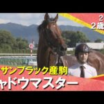 シャドウマスターが1番人気鼻差で捉えデビュー勝ち！北村友一騎手「しぶとく脚を使ってくれた。さらに良くなりそう」2025年11月1日(土)２歳新馬　京都芝2000m　実況：服部優陽　【カンテレ公式】