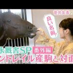 「すごく良い子で優等生」福永厩舎の気になるコントレイル産駒が登場!さらに厩舎の内部を見学!馬術部出身のゆっかーが気になるスペースが!<菅井友香のウマ友になってくれませんか?>