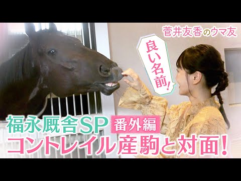 「すごく良い子で優等生」福永厩舎の気になるコントレイル産駒が登場!さらに厩舎の内部を見学!馬術部出身のゆっかーが気になるスペースが!<菅井友香のウマ友になってくれませんか?>