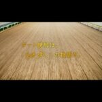 『ダートに熱を響かせろ。』 新ダート競走体系 プロモーションムービー ~継承篇~