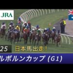 2025年 メルボルンカップ(G1)| JRA公式