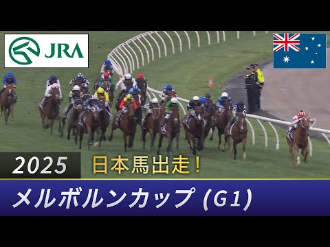 2025年 メルボルンカップ(G1)| JRA公式
