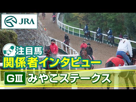 【注目馬 関係者インタビュー】2025年 みやこステークス|JRA公式