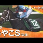 2025年みやこテークス(ＧⅢ) ダブルハートボンド  実況：服部優陽【カンテレ公式】