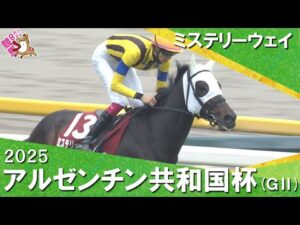 2025年アルゼンチン共和国杯(GⅡ) ミステリーウェイ 【カンテレ公式】