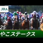 2025年 みやこステークス(GⅢ) | 第15回 | JRA公式