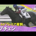 ワールドプレミア産駒ロブチェンが３馬身差で完勝！松山騎手「追ってからも強かった」2025年11月9日(日)２歳新馬　京都芝2000m　実況：岡安譲【カンテレ公式】