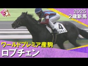 ワールドプレミア産駒ロブチェンが３馬身差で完勝！松山騎手「追ってからも強かった」2025年11月9日(日)２歳新馬　京都芝2000m　実況：岡安譲【カンテレ公式】