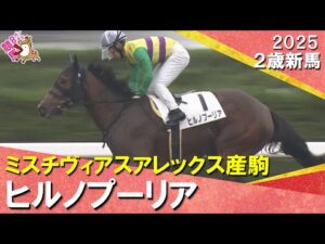 ４番人気ヒルノプーリアが逃げ切りデビュー勝ち！秋山稔樹騎手「理想的な競馬ができたのかなと思います」2025年11月9日(日)２歳新馬　京都ダート1400m　実況：服部優陽【カンテレ公式】