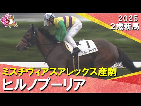 ４番人気ヒルノプーリアが逃げ切りデビュー勝ち！秋山稔樹騎手「理想的な競馬ができたのかなと思います」2025年11月9日(日)２歳新馬　京都ダート1400m　実況：服部優陽【カンテレ公式】