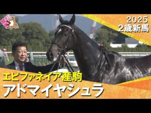 母も兄も重賞Vの良血アドマイヤシュラが快勝！Ｃ.デムーロ騎手「すごく素質を感じる」2025年11月8日(土)２歳新馬　京都芝1800m　実況：服部優陽【カンテレ公式】