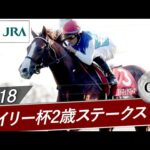 2018年 デイリー杯2歳Sステークス（GⅡ） | アドマイヤマーズ | JRA公式