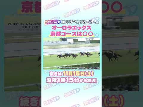 エリザベス女王杯 GⅠ　トレセン直撃取材！　#競馬 #エリザベス女王杯  #オーロラエックス  #杉山晴紀 調教師