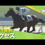 アクセスが3馬身差で快勝!キセキ産駒が初の新馬勝ち!北村友一騎手「期待通り」2025年11月16日(日)2歳新馬 京都芝2000m 実況:岡安譲【カンテレ公式】
